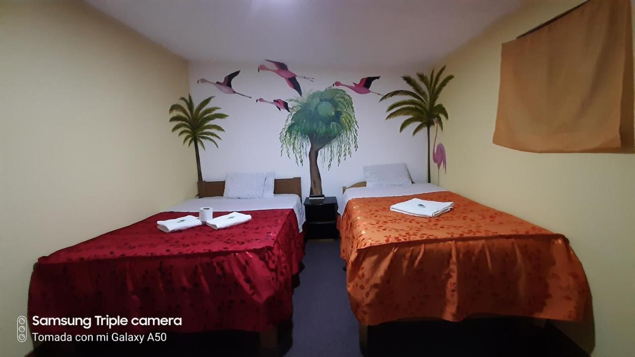 Hostal Sambleno Cusco Piero Suite Dış mekan fotoğraf